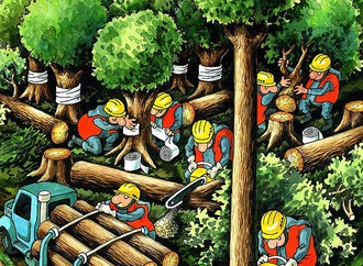 The Best World Cartoon-part 250