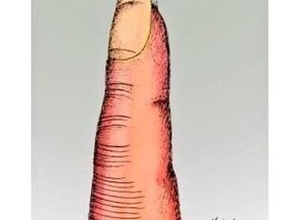 arturo kemchs 5