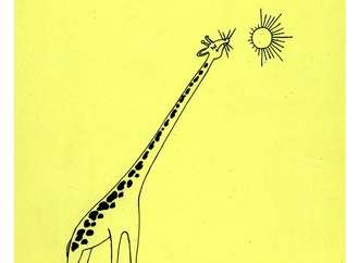 vladimir stevovic serbia 16