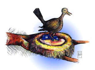 hule hanusic austria 70