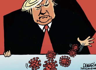Gallery | Cartoonists Against Covid 19-Canada