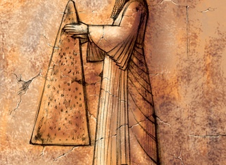 
                                                                                                  Mohammadreza Doust Mohammadi - Iran
