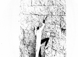 jean gourmelin france16