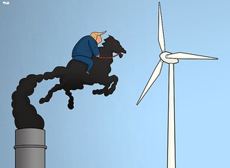 
                                                                                                  Tjeerd Royaards - Netherlands