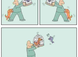 2budi hari pujiono indonesia 3