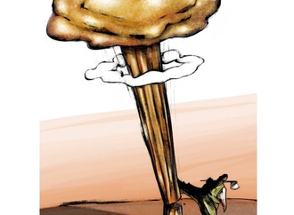 farhad bahrami reykani iran 36