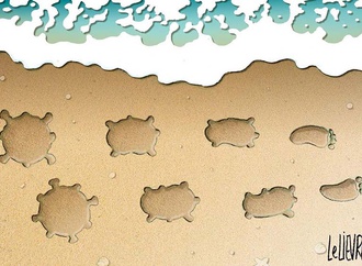 Gallery of Cartoons by Glen Le Lievre-Australia