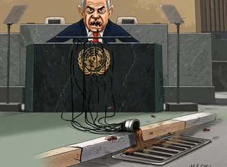 mikail ciftci 7