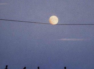 quint buchholz 54