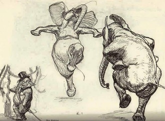 heinrich kley 44