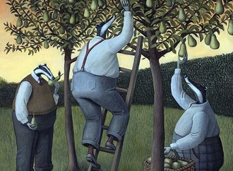 sarah jane szikora 13