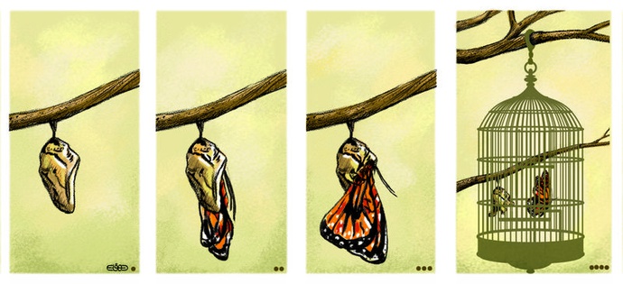 By: Mansoure Dehghani | Iran 