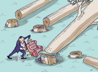 the environment