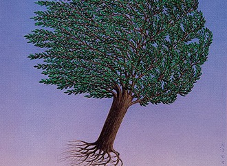 gurbuz dogan eksioglu turkey 150