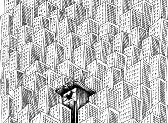 The 6th International Tehran Cartoon Biennial-2003