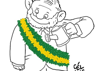 ceullus brazil9