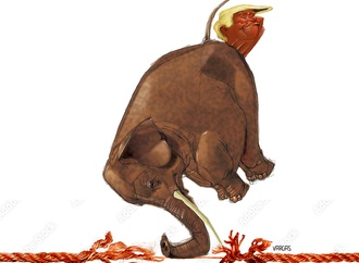 edgar vargas avila venezuela 12