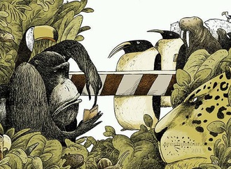 Gallery of Cartoon by Ares-Cuba 2