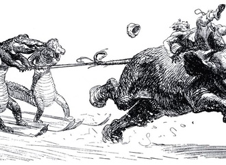 heinrich kley 43