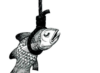 mohsen nouri najafi21