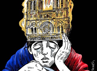Gallery of Cartoon by Dario Castillejos - Mexico