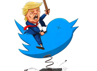 cartoon section437