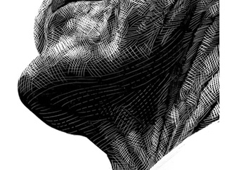 Gallery of Caricatures by Ricardo Martinez From  Chile