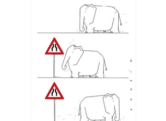 kambiz derambakhsh 13