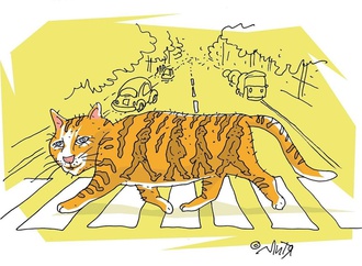 mitya_kononov2