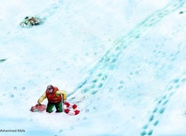 Gallery of the Best World Cartoon-Part 1470