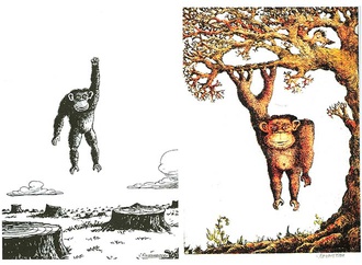 vladimir kazanevsky ukraine11