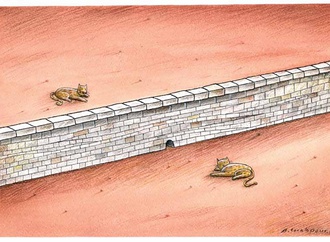 akbar torabpor iran1