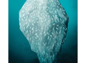 carlos david fuentes cuba7777