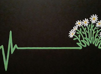 organ donation68
