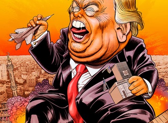 cartoon section307