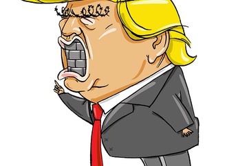cartoon section311