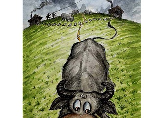 Catalog of Niko Nikolla Cartoon Biennial Albania 2020