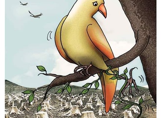 saadet demir yalcin 1