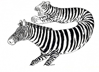 lubomir kotrha slovakia 73