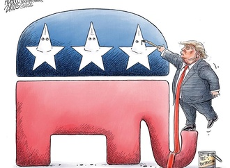 adam zyglis 8