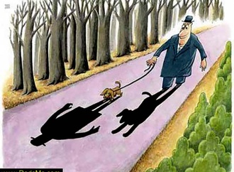 constantin cusu romania