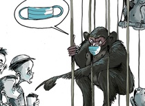 Gallery of the Best World Cartoon-Part 420
