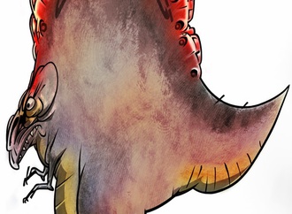 farhad bahrami reykani iran 122