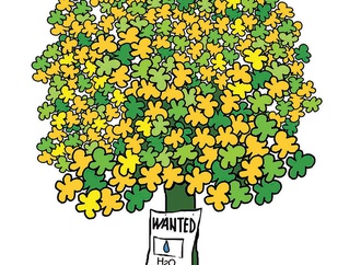 hosein rahim khani iran 4