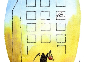 valery momot