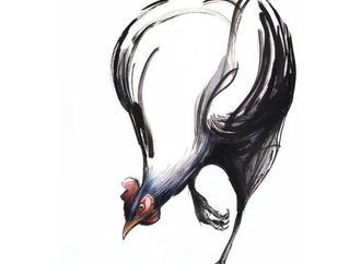 angel boligan3