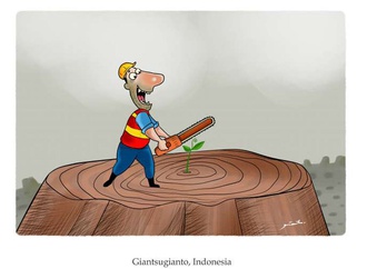 green optimistic indonesia 44
