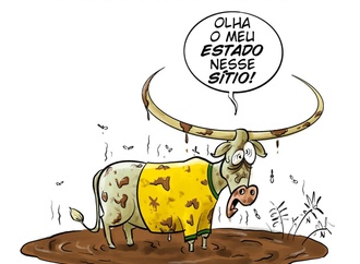
                                                                                                  Custódio Rosa - Brazil