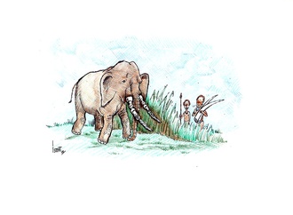 ismet lokman turkey 11