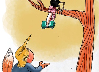 cartoon section250